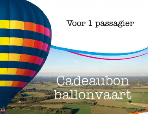 Instrument bossen opleiding Hot air balloon rides in Overijssel – Nicelocal.co.nl